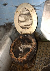 Cкриншот Toilette, изображение № 3177177 - RAWG