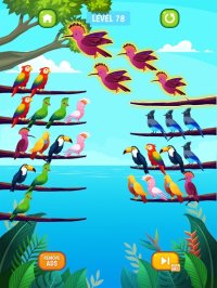 Cкриншот Bird Sort Puzzle, изображение № 3337674 - RAWG