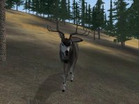 Cкриншот Deer Hunter 2004, изображение № 356754 - RAWG