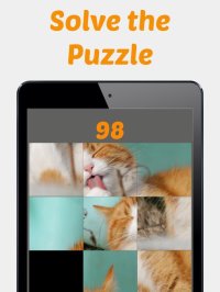 Cкриншот Cute Kitten Photos Puzzle, изображение № 2190585 - RAWG