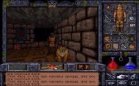 Cкриншот Ultima Underworld 1+2, изображение № 220363 - RAWG