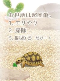 Cкриншот Tortoise Aquarium Free, изображение № 1662248 - RAWG