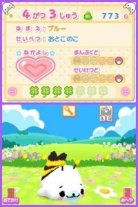 Cкриншот Mamegoma 2: Uchi no Ko ga Ichiban!, изображение № 3378782 - RAWG