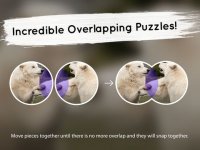Cкриншот Venn Wolves: Overlapping Jigsaw Puzzles, изображение № 1788592 - RAWG