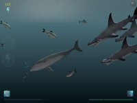 Cкриншот Shark Eaters: Rise of the Dolphins, изображение № 4687 - RAWG