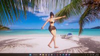 Cкриншот Desktop Beach Girls, изображение № 3580130 - RAWG