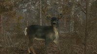 Cкриншот Pro Deer Hunting, изображение № 2280369 - RAWG