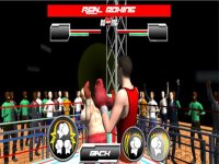 Cкриншот Real Wrestling Fighting, изображение № 1706031 - RAWG