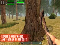 Cкриншот The Survivor: Rusty Forest, изображение № 26811 - RAWG