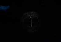 Cкриншот Slender: Strange Forest, изображение № 625099 - RAWG