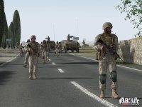 Cкриншот ARMA: Combat Operations, изображение № 124614 - RAWG