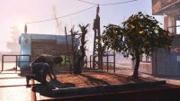 Cкриншот Fallout 4: Wasteland Workshop, изображение № 1826037 - RAWG