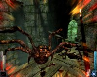 Cкриншот Dark Messiah of Might and Magic, изображение № 1749838 - RAWG