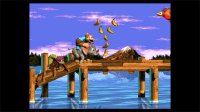 Cкриншот Donkey Kong Country 3: Dixie Kong's Double Trouble, изображение № 264331 - RAWG