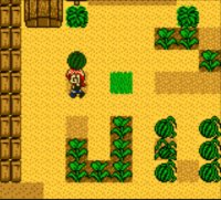 Cкриншот Harvest Moon 2 GBC (1999), изображение № 806568 - RAWG