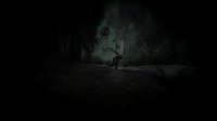 Cкриншот Darkwood 3D, изображение № 1027267 - RAWG