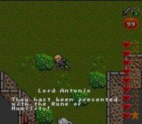 Cкриншот Ultima: Runes of Virtue II, изображение № 1702480 - RAWG