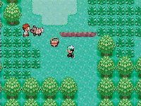 Cкриншот Pokémon Ruby, Sapphire, Emerald, изображение № 1819452 - RAWG