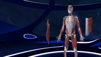 Cкриншот Human Anatomy VR, изображение № 2150006 - RAWG