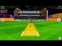 Cкриншот Cricket Run Out 3D, изображение № 1729259 - RAWG