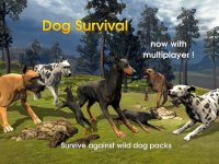 Cкриншот Dog Survival Simulator, изображение № 2327818 - RAWG