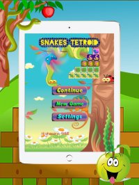 Cкриншот Snakes Slithering In Square Box - The New Tetroid Puzzle Game, изображение № 1612450 - RAWG