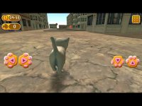 Cкриншот Cat In City Go Simulator, изображение № 901305 - RAWG