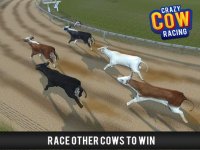 Cкриншот Cow Racing Free Game, изображение № 1780003 - RAWG