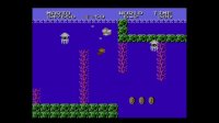 Cкриншот Super Mario Bros.: The Lost Levels, изображение № 781743 - RAWG
