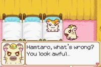 Cкриншот Hamtaro: Ham-Ham Heartbreak, изображение № 732050 - RAWG
