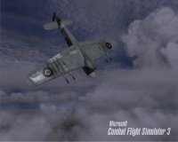 Cкриншот Microsoft Combat Flight Simulator 3: Battle for Europe, изображение № 311258 - RAWG