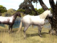 Cкриншот Wildlife Park 2. Долина лошадей, изображение № 151722 - RAWG