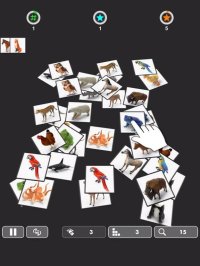 Cкриншот OLLECT - Pair Matching Game, изображение № 2417087 - RAWG