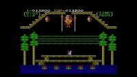Cкриншот Donkey Kong 3, изображение № 822798 - RAWG