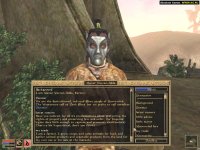 Cкриншот The Elder Scrolls III: Morrowind, изображение № 289955 - RAWG