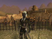 Cкриншот EverQuest II, изображение № 360735 - RAWG