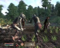 Cкриншот The Elder Scrolls IV: Oblivion, изображение № 699365 - RAWG