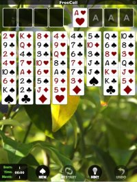 Cкриншот FreeCell [Pokami], изображение № 2068554 - RAWG