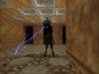 Cкриншот Tomb Raider, изображение № 320442 - RAWG