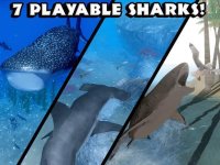 Cкриншот Ultimate Shark Simulator, изображение № 1968028 - RAWG