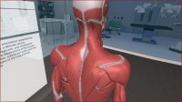 Cкриншот 3D Organon VR Anatomy, изображение № 133209 - RAWG