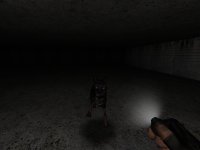Cкриншот Escaping the Dark Horror 2, изображение № 620814 - RAWG