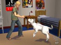 Cкриншот Sims 2: Питомцы, The, изображение № 457883 - RAWG