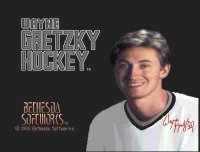 Cкриншот Wayne Gretzky Hockey, изображение № 738605 - RAWG