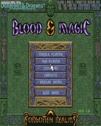 Cкриншот Blood & Magic, изображение № 313212 - RAWG