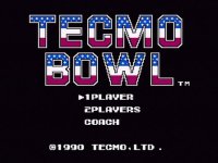 Cкриншот Tecmo Bowl, изображение № 259448 - RAWG