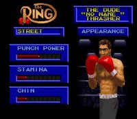 Cкриншот Boxing Legends of the Ring, изображение № 758596 - RAWG