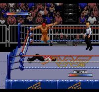 Cкриншот WWF Rage in the Cage, изображение № 740435 - RAWG