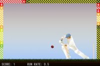 Cкриншот Little Master Cricket, изображение № 937745 - RAWG