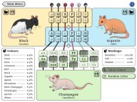 Cкриншот NZ Rat Colour Genetics, изображение № 2303973 - RAWG